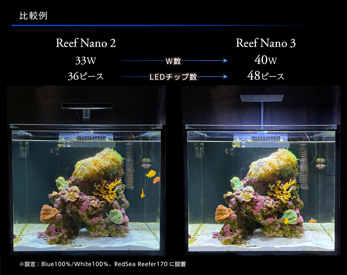 ※週末限定値引き中※ ZOOX Reef Nano 3 リーフナノ3 最新モデル 週末限定値引き中※ ZOOX Reef Nano 3 リーフナノ3 最新モデル 週末限定